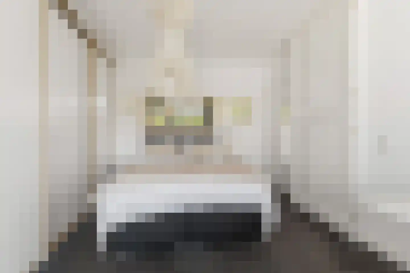 Mozartlaan 345 Den Haag thumbnail 35