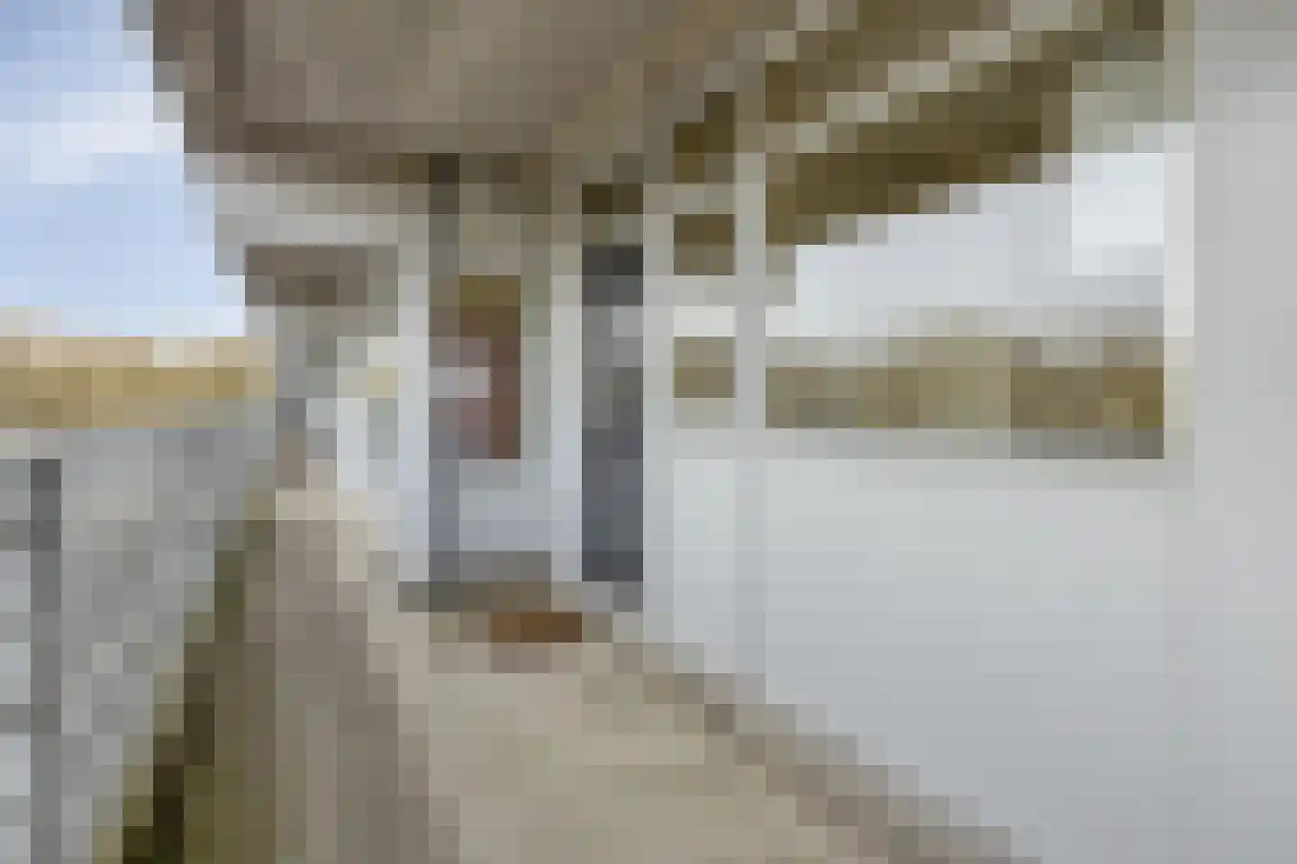 Mozartlaan 345 Tilburg thumbnail 14