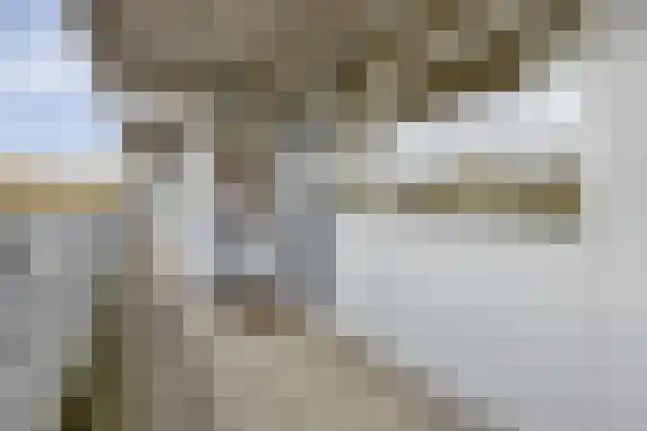 Mozartlaan 345 Tilburg thumbnail 14