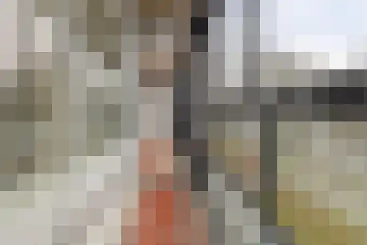 Mozartlaan 345 Tilburg thumbnail 40