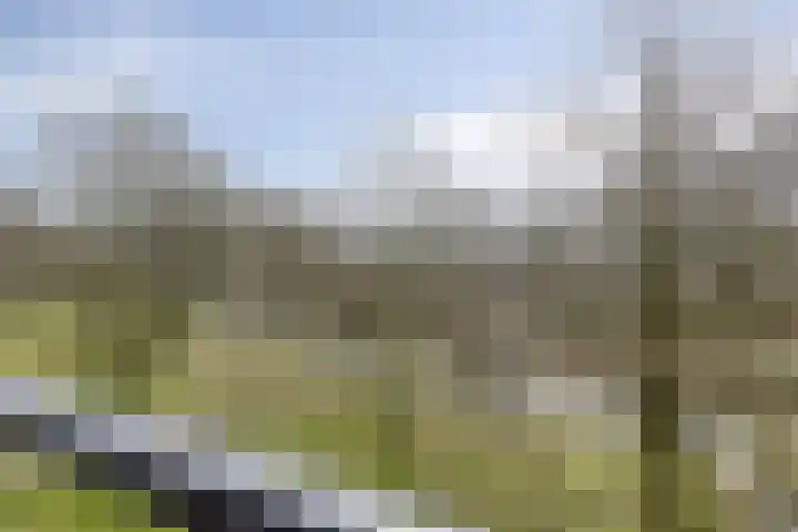 Mozartlaan 345 Tilburg thumbnail 41