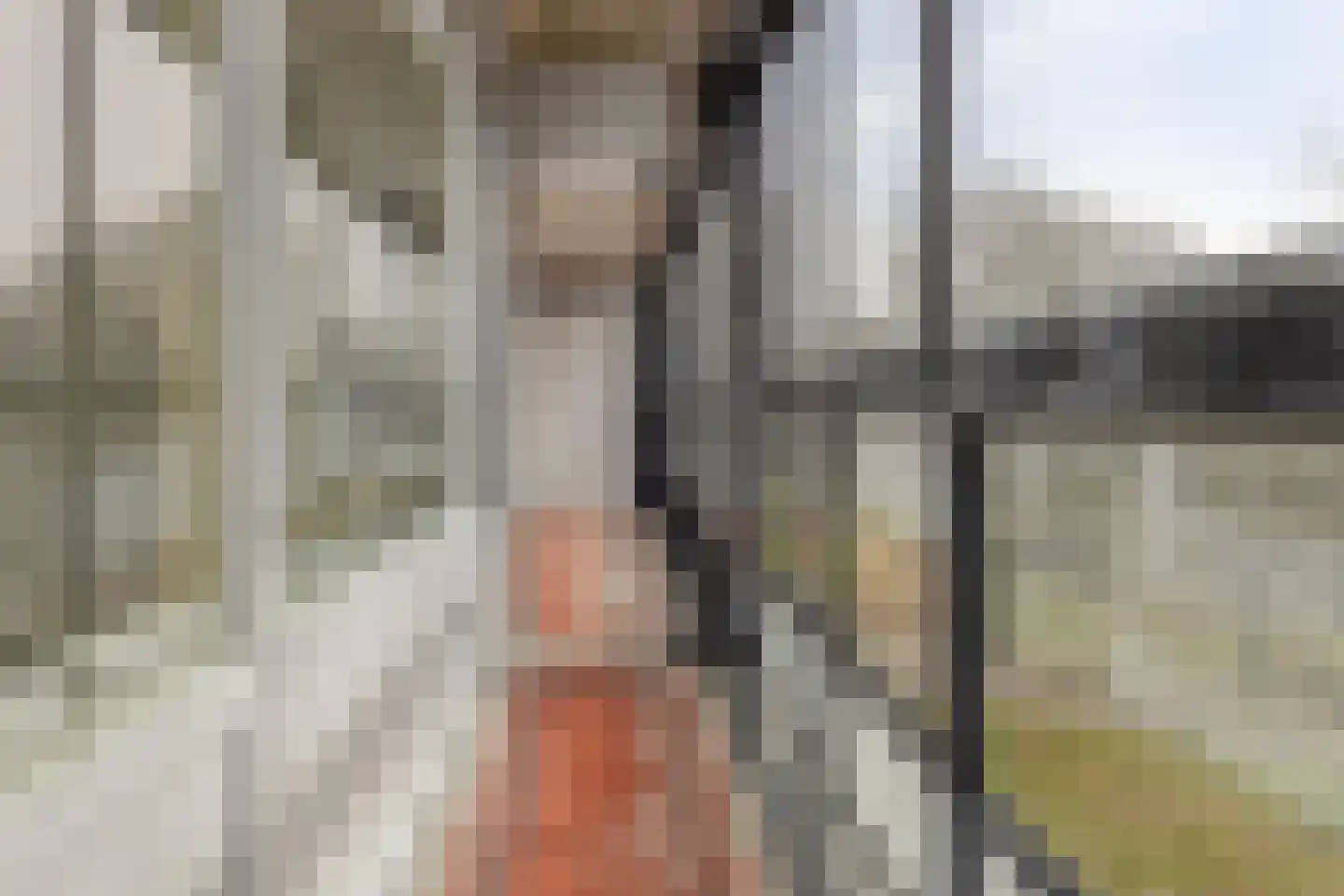 Mozartlaan 345 Tilburg thumbnail 42