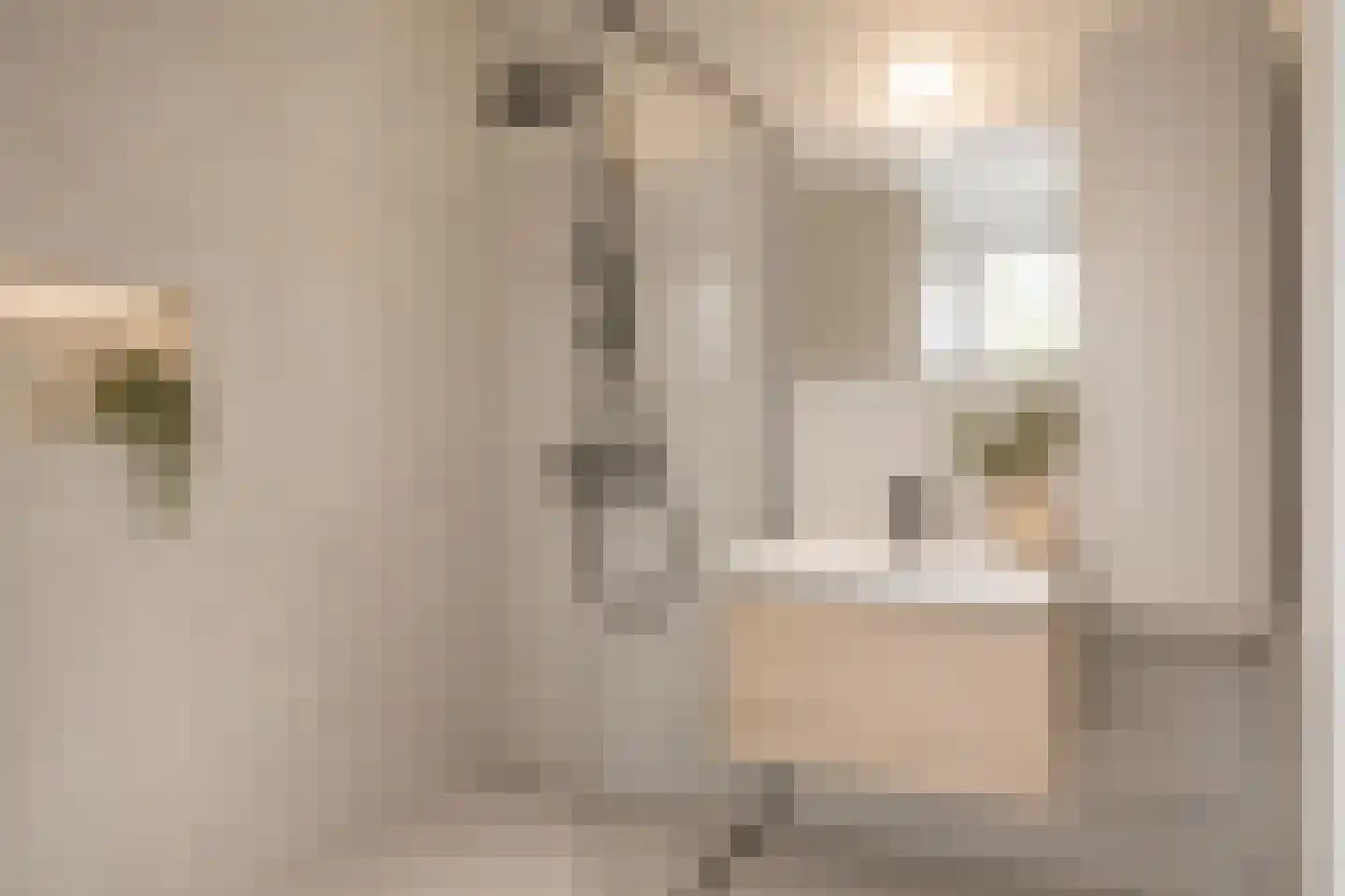 Mozartlaan 346 Den Haag thumbnail 15