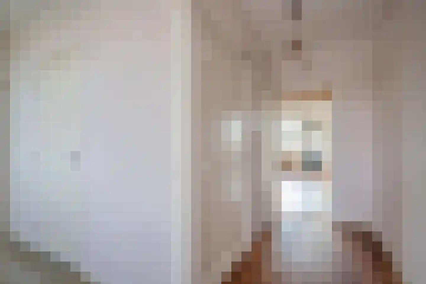 Mozartlaan 346 Den Haag thumbnail 19