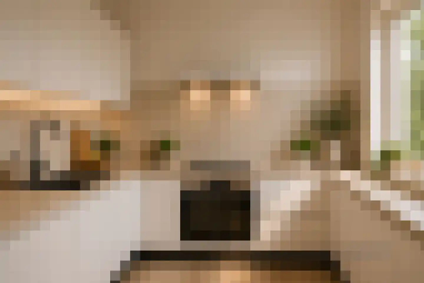 Mozartlaan 346 Den Haag thumbnail 4