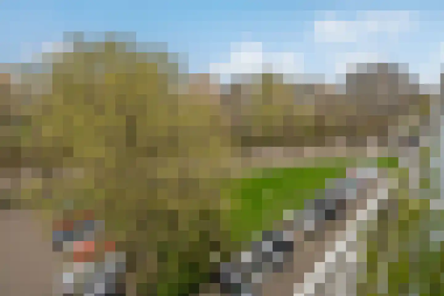 Mozartlaan 348 Den Haag thumbnail 14