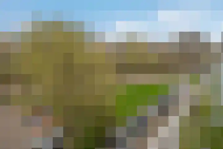 Mozartlaan 348 Den Haag thumbnail 14