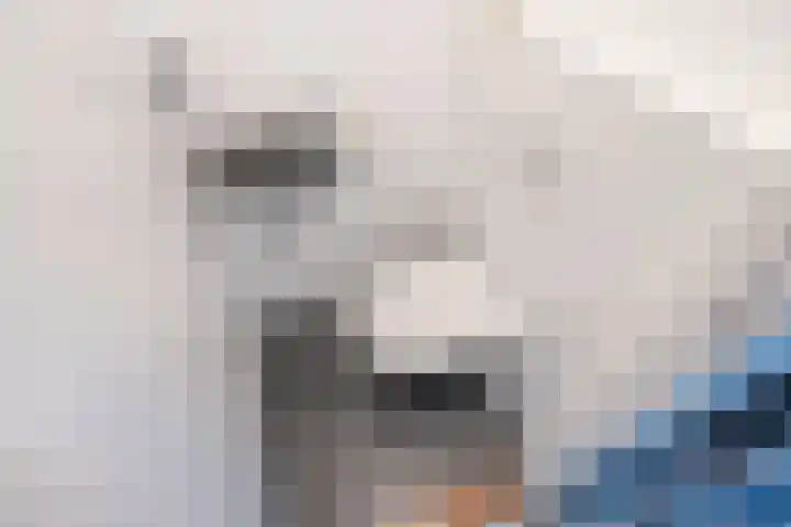 Mozartlaan 348 Den Haag thumbnail 21