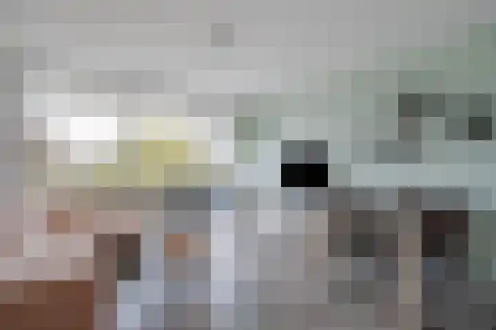 Mozartlaan 348 Den Haag thumbnail 6