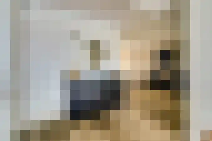 Mozartlaan 353 Tilburg thumbnail 10