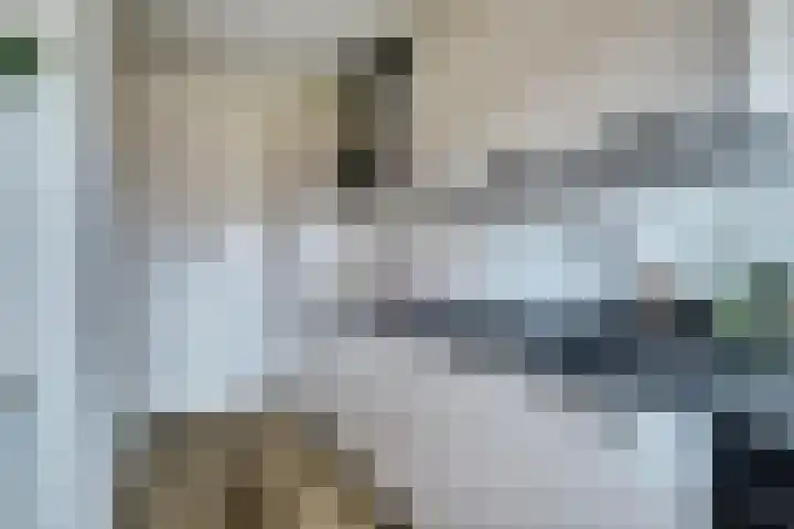 Mozartlaan 353 Tilburg thumbnail 12