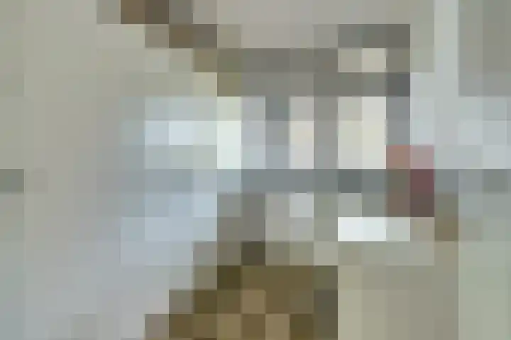 Mozartlaan 353 Tilburg thumbnail 15