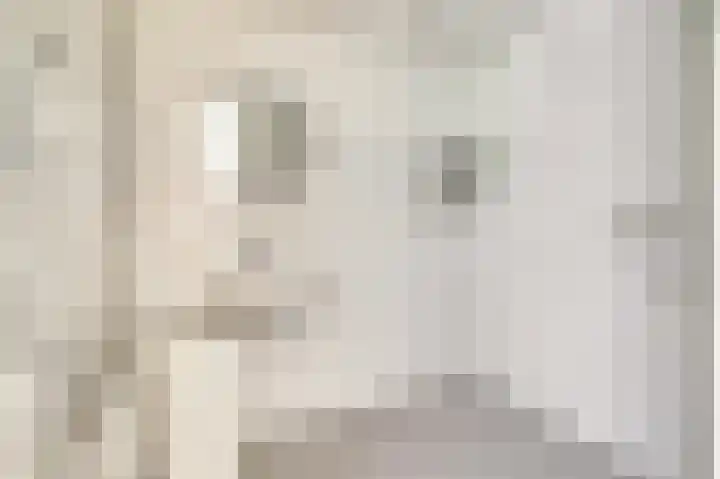 Mozartlaan 353 Tilburg thumbnail 18