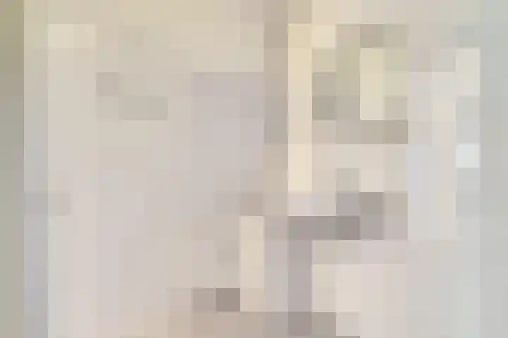 Mozartlaan 353 Tilburg thumbnail 19