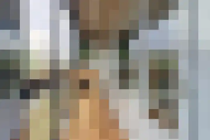 Mozartlaan 353 Tilburg thumbnail 21
