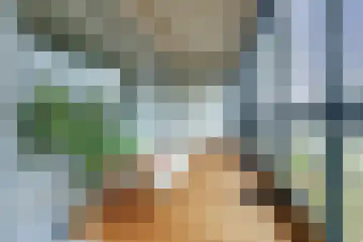 Mozartlaan 353 Tilburg thumbnail 22