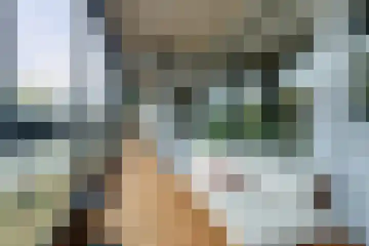 Mozartlaan 353 Tilburg thumbnail 23