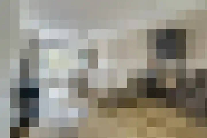 Mozartlaan 353 Tilburg thumbnail 6