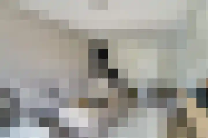 Mozartlaan 353 Tilburg thumbnail 7