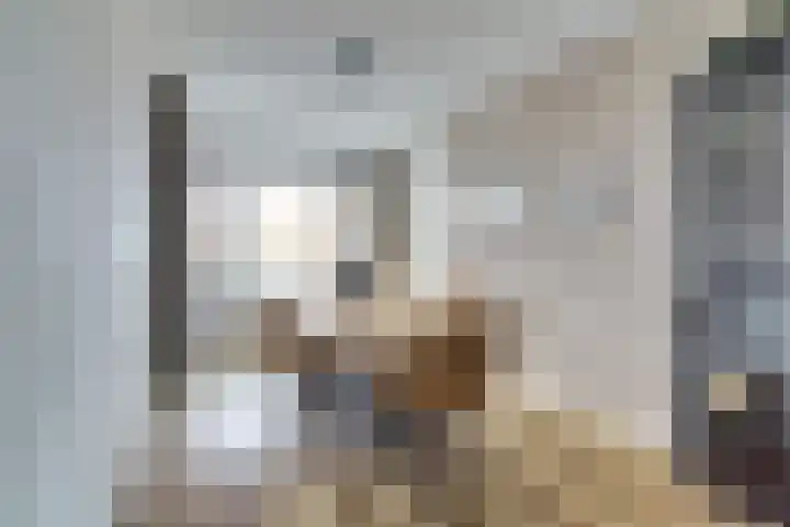 Mozartlaan 353 Tilburg thumbnail 9