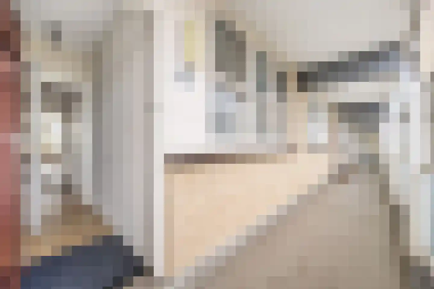 Mozartlaan 358 Den Haag thumbnail 6