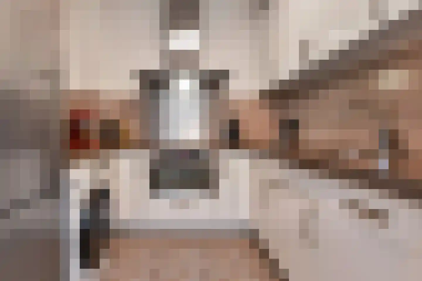 Mozartlaan 362 Den Haag thumbnail 13