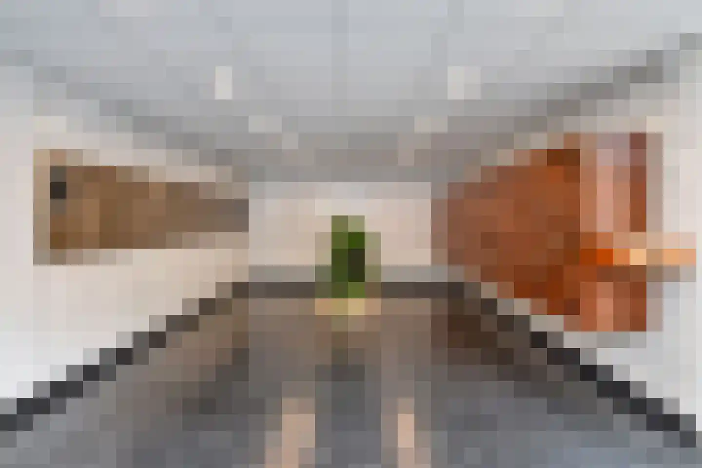 Mozartlaan 362 Den Haag thumbnail 26