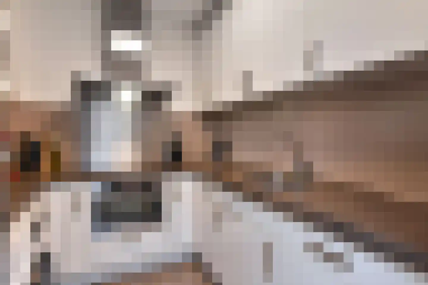 Mozartlaan 362 Den Haag thumbnail 4