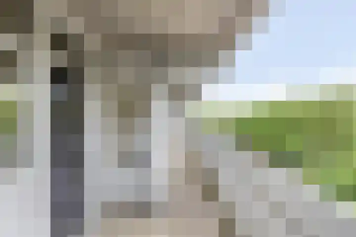 Mozartlaan 377 Tilburg thumbnail 10