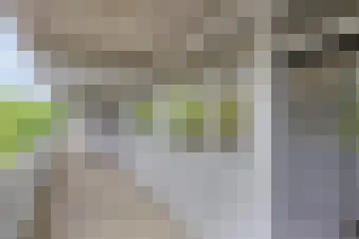 Mozartlaan 377 Tilburg thumbnail 11