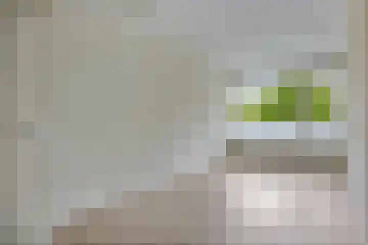 Mozartlaan 377 Tilburg thumbnail 20
