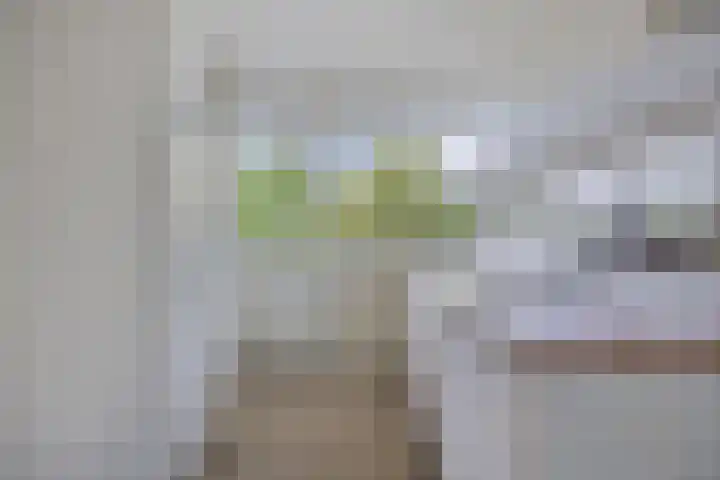 Mozartlaan 377 Tilburg thumbnail 21