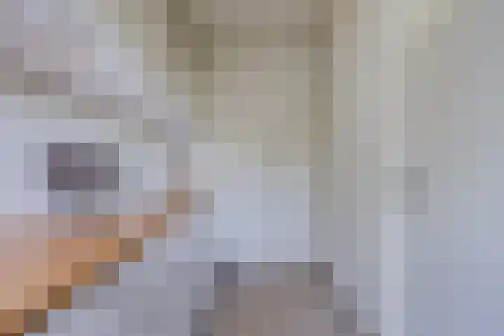 Mozartlaan 377 Tilburg thumbnail 22