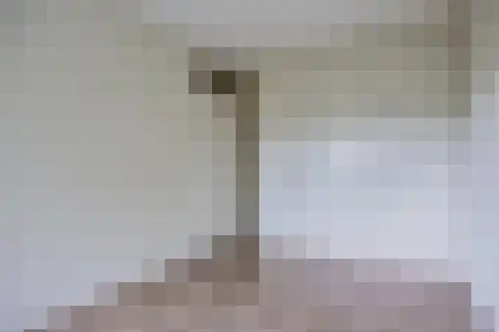 Mozartlaan 377 Tilburg thumbnail 37