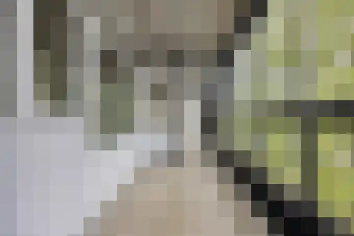 Mozartlaan 377 Tilburg thumbnail 40