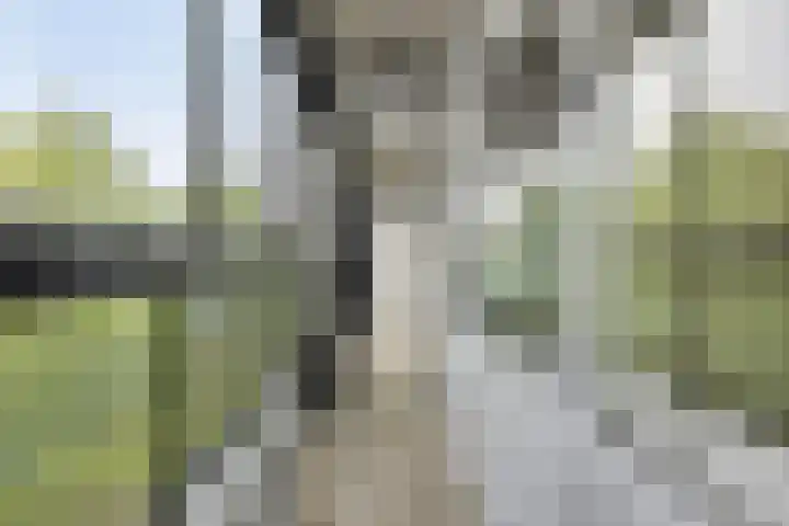 Mozartlaan 377 Tilburg thumbnail 41