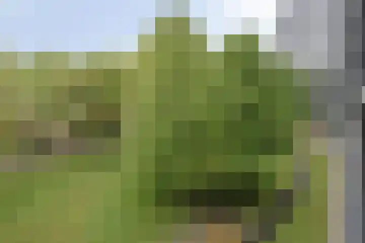 Mozartlaan 377 Tilburg thumbnail 42