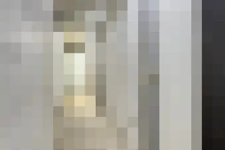 Mozartlaan 377 Tilburg thumbnail 46