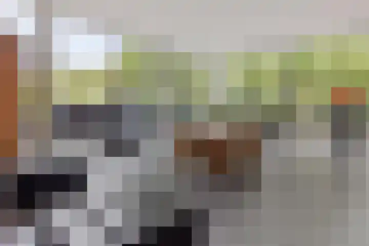 Mozartlaan 377 Tilburg thumbnail 8