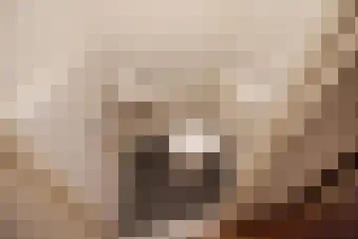 Mozartlaan 378 Den Haag thumbnail 14