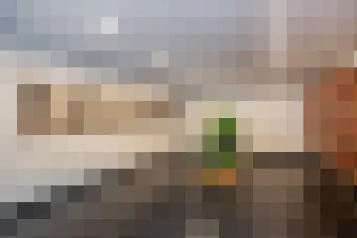 Mozartlaan 378 Den Haag thumbnail 9