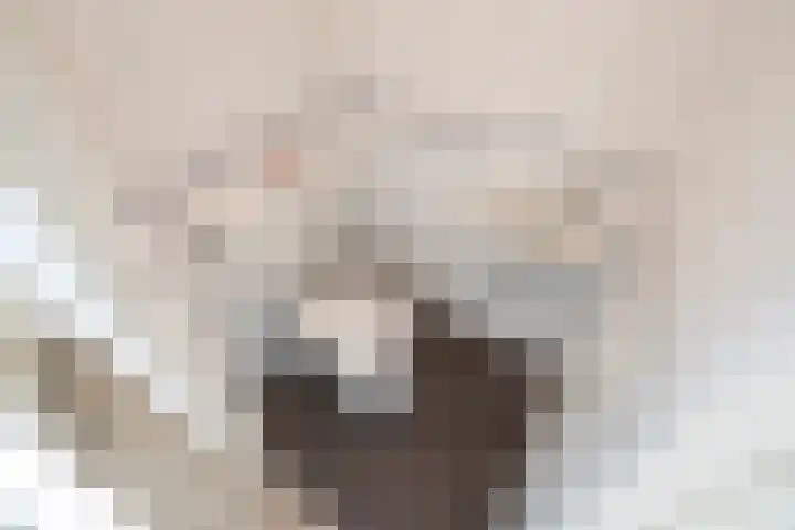 Mozartlaan 380 Den Haag thumbnail 12