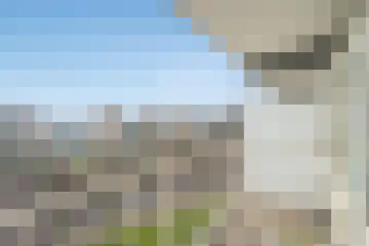 Mozartlaan 380 Den Haag thumbnail 16