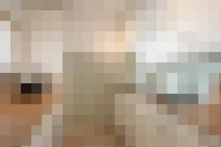 Mozartlaan 380 Den Haag thumbnail 20