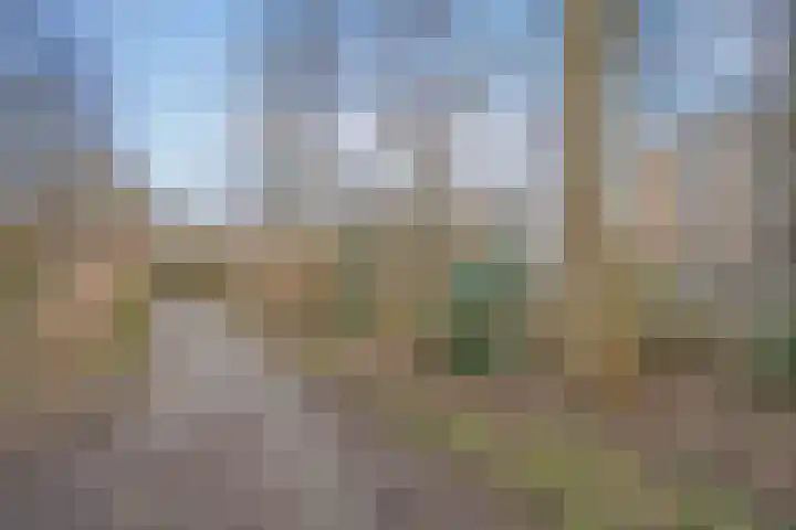 Mozartlaan 380 Den Haag thumbnail 29