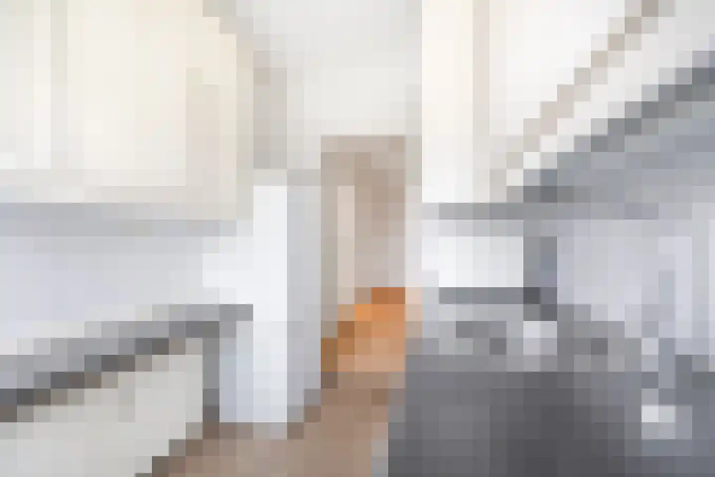 Mozartlaan 389 Den Haag thumbnail 19