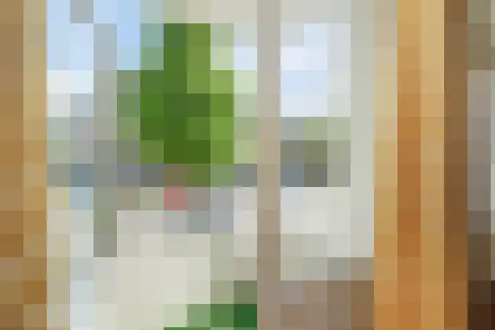 Mozartlaan 393 Den Haag thumbnail 16