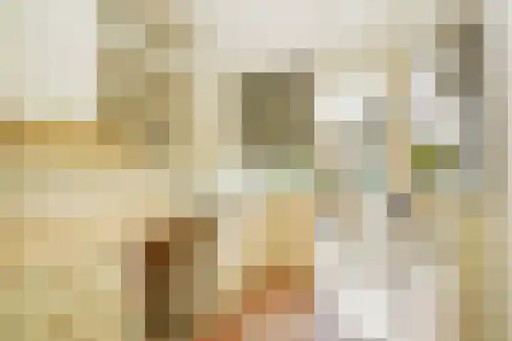 Mozartlaan 393 Den Haag thumbnail 19