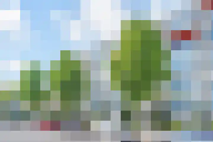 Mozartlaan 393 Den Haag thumbnail 5