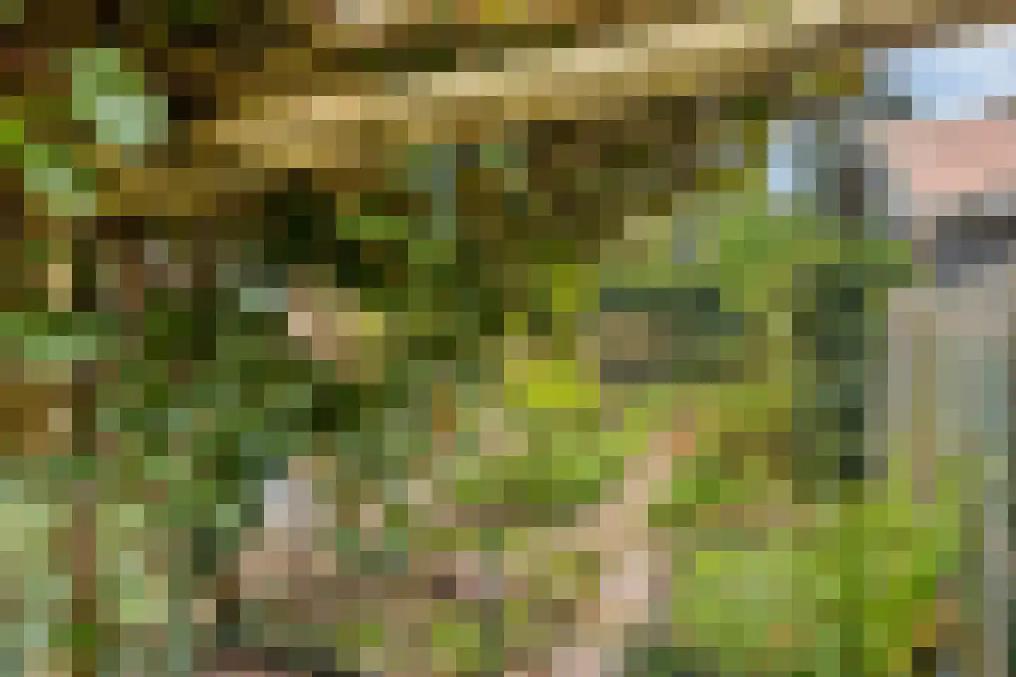 Mozartlaan 4 Apeldoorn thumbnail 18